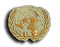 UnitedNationsBadge.png